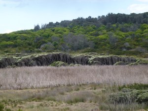 © 2015 Jacquie Garton-Smith